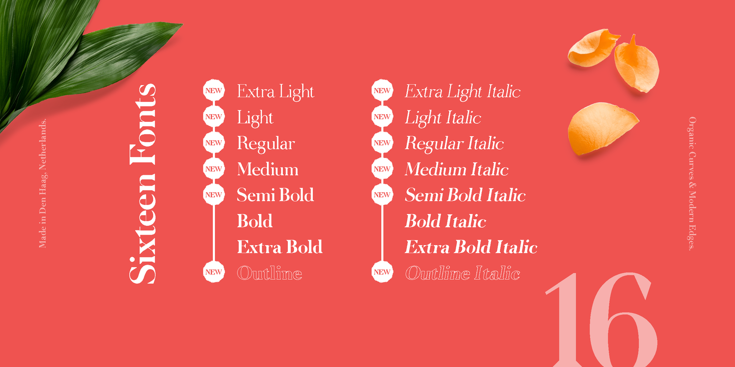Node Display Light Font preview